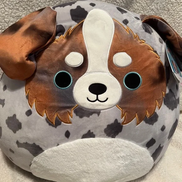 Squishmallows Raylor the Australian Shepard Dog 8 Raylor Squish display picture 1